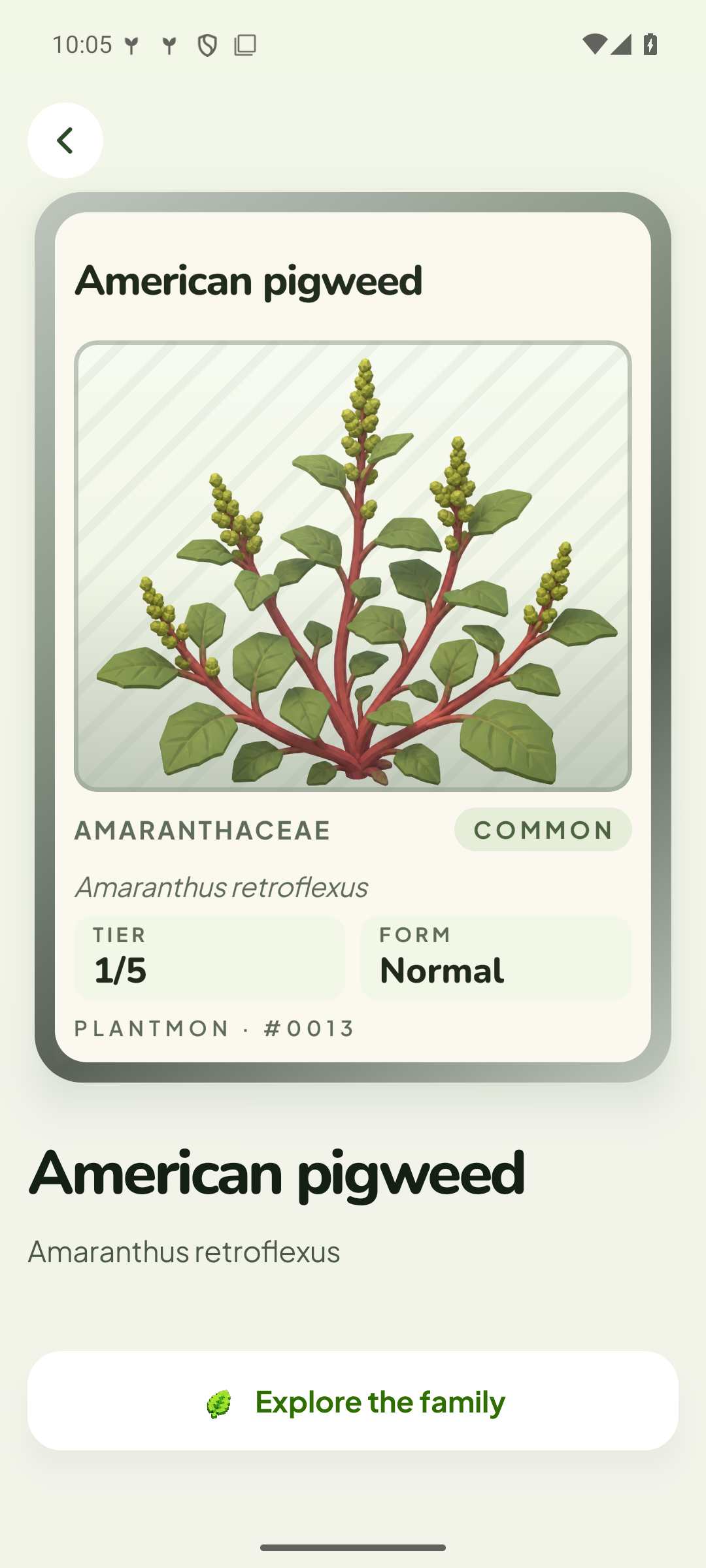 A collectible Plantmon card for a split-leaf philodendron